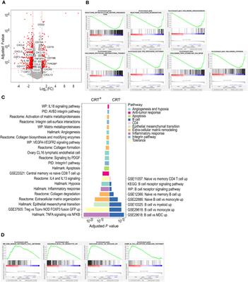 Frontiers | Immune changes in hilar tumor draining lymph nodes